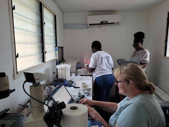 Lab work, Ghana